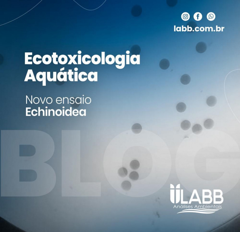 Novo método: Conheça a Echinodermata: Echinoidea