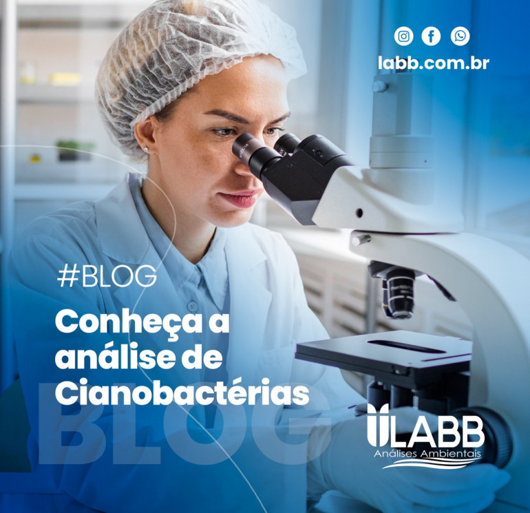 Você sabe o que é a análise de cianobactérias?